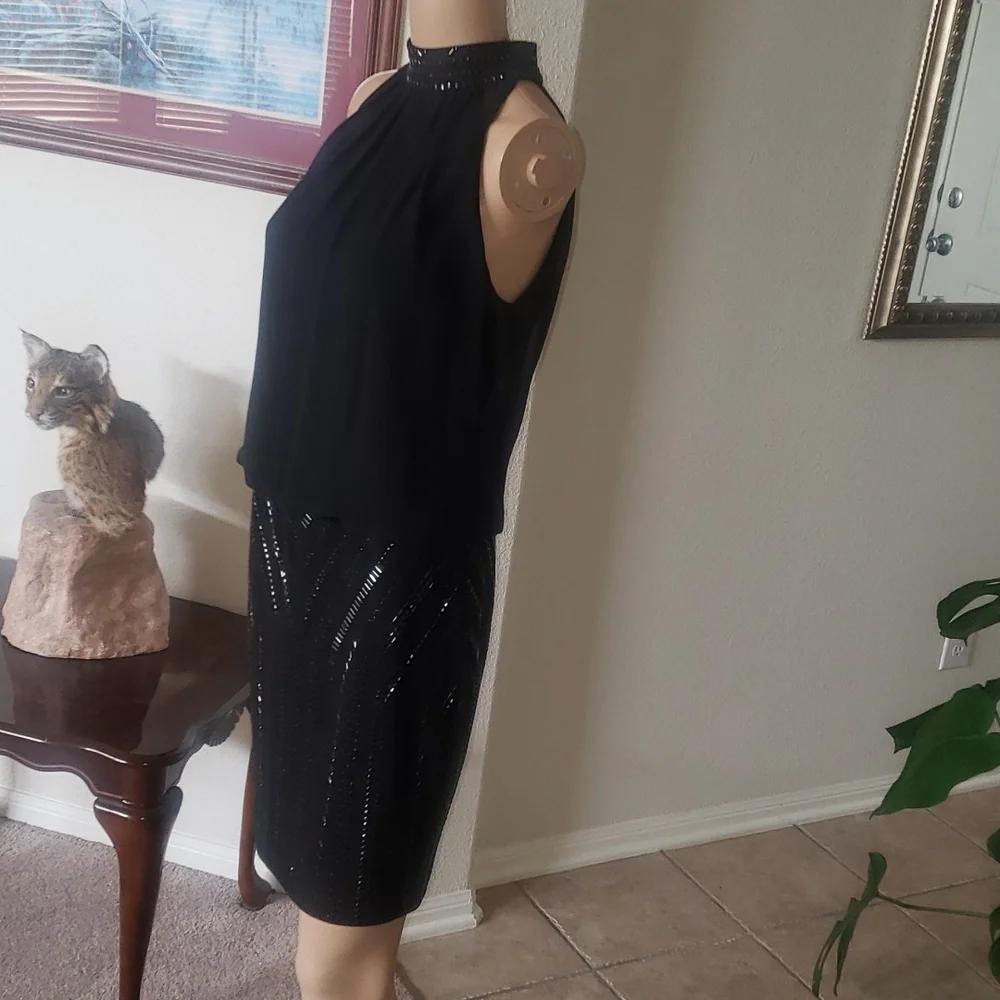 Cache 2 beaded mockneck & skirt flowy upper keyhole back - Picture 4 of 11
